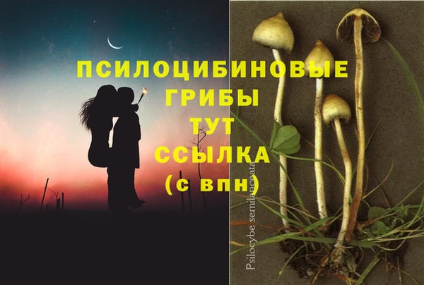 MDMA Армянск