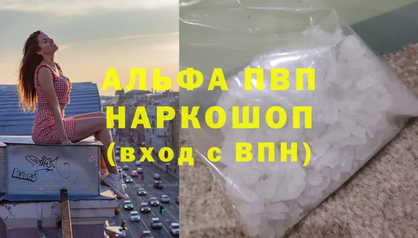 сатива Приозерск